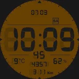 Ric13