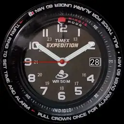 Shenmue Timex