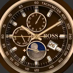 Boss Golden Brown JBBGB141219 Copy