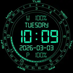 Night Vision Radial