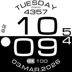ms20240725 B