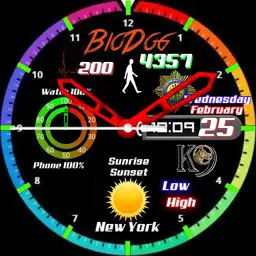 BioDog08