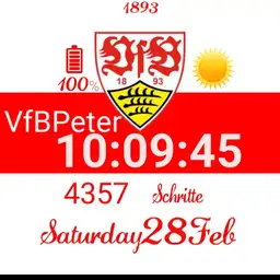 VfB Stuttgart weiss rot Copy