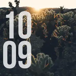 Desert Dawn
