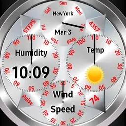 Weather and Health II