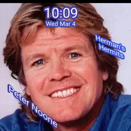 Hermans Hermits Copy