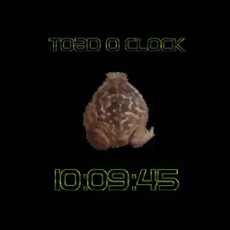 TOAD TIME