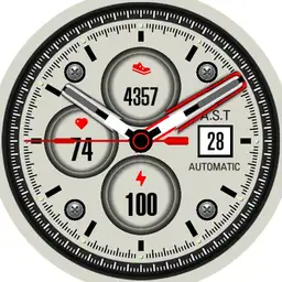 Analogic Simply Time