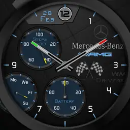 WM AMG Drivers