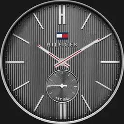 Hilfiger Gray ali