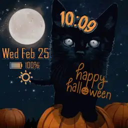 Moonlit Halloween Kitty