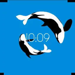 Orca Clean