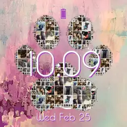 Ashleys Watch