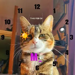purrfect Time