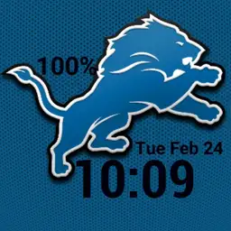 DETROIT LIONS DIGITAL BEST Copy