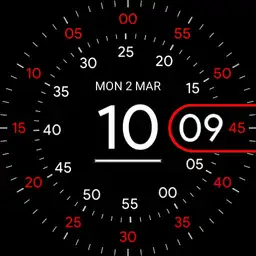 Pixel Watch Multi Color Roto