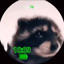 racjam