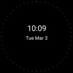 Perfect Smartwatch