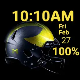 Michigan Wolverines