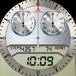 Delta Watch Chronograph
