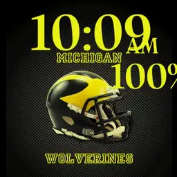 Michigan Wolverines