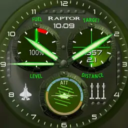F22 Raptor v1 P162