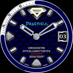 WDS PRACTICUL FENCE
