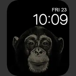 Monkey Business