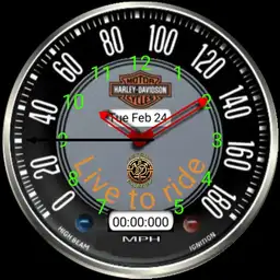 Harley Davidson speedo