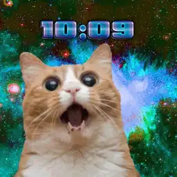 space cat freak out