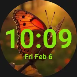 autumn butterfly