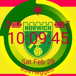 Norwich City FC circles