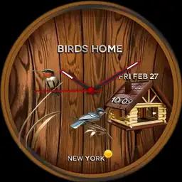 Birds Home