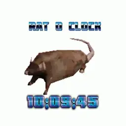 rat watch