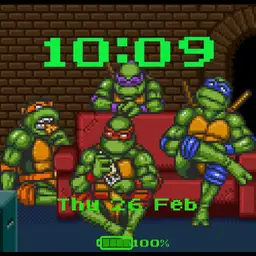 Turtles Copy