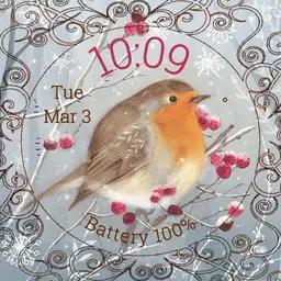 Robin in Winter