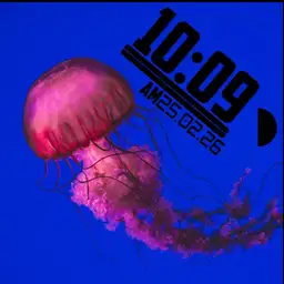 jellyfish v1