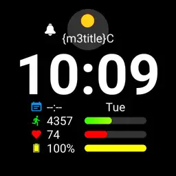 B.Info Watch v2