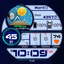 Fox Pro 06 Copy