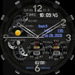 Gani 19.3