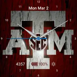 Aggie Face 5