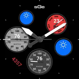 sGe A2.9