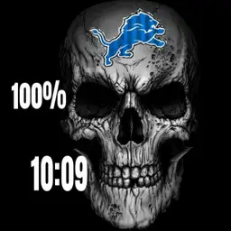 detroit lions Copy