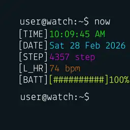 WatchShell