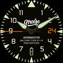 Meere Aeromaster Copy