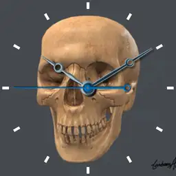 RealSkull
