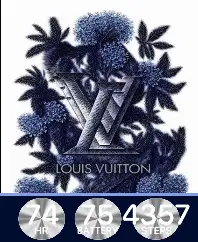 Blue Floral Louis Vuitton
