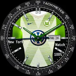 VfL Wolfsburg BL 17/18