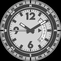 Brute Compass PATHFINDER Professional Interactive Compass with Declination Watch
