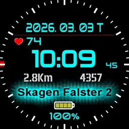 Schwarz65_Final_1.0.1 Copy